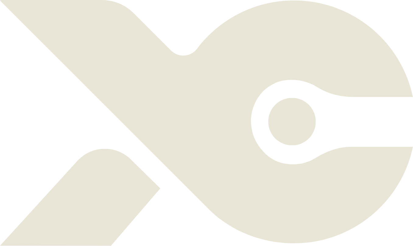 The X-Company